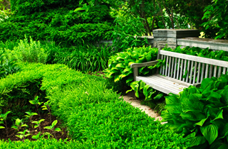 Promotion of Roof Planting Business